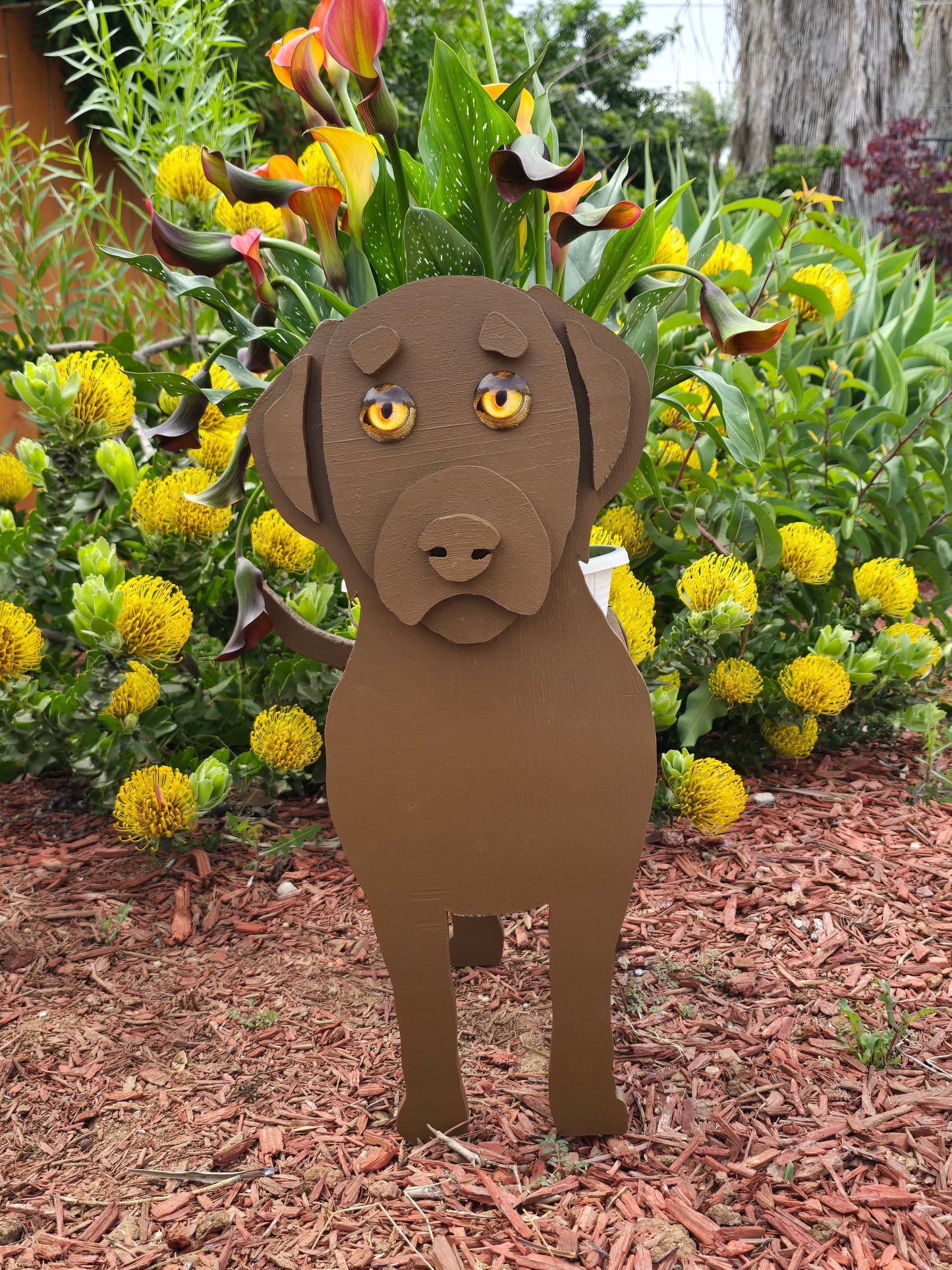 Chocolate Labrador Planter Box