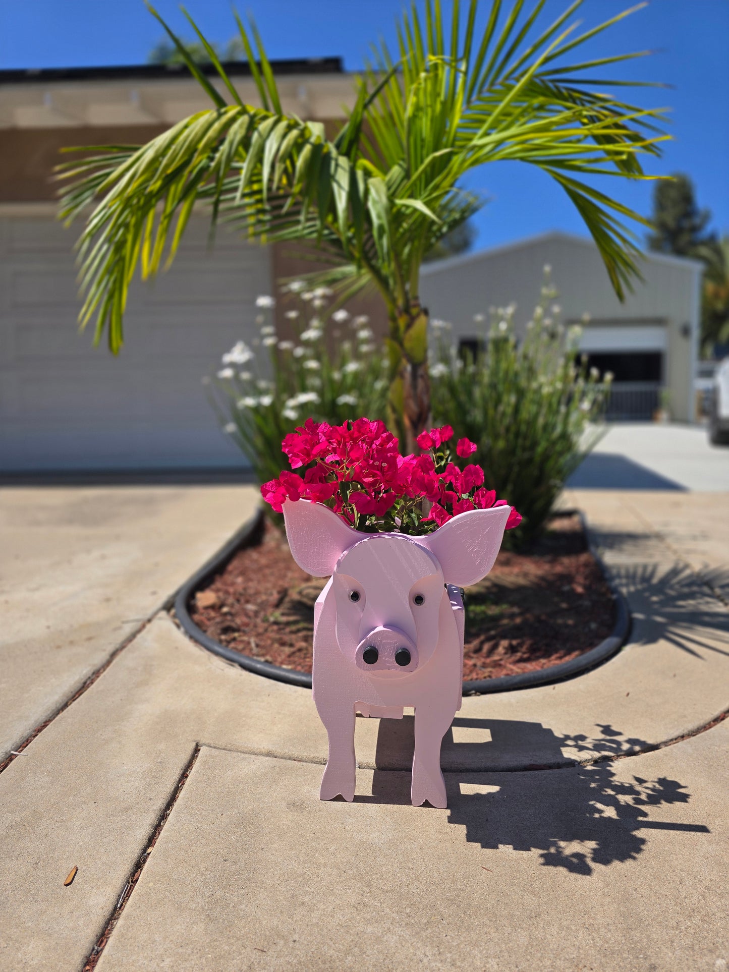 Pig Planter Box