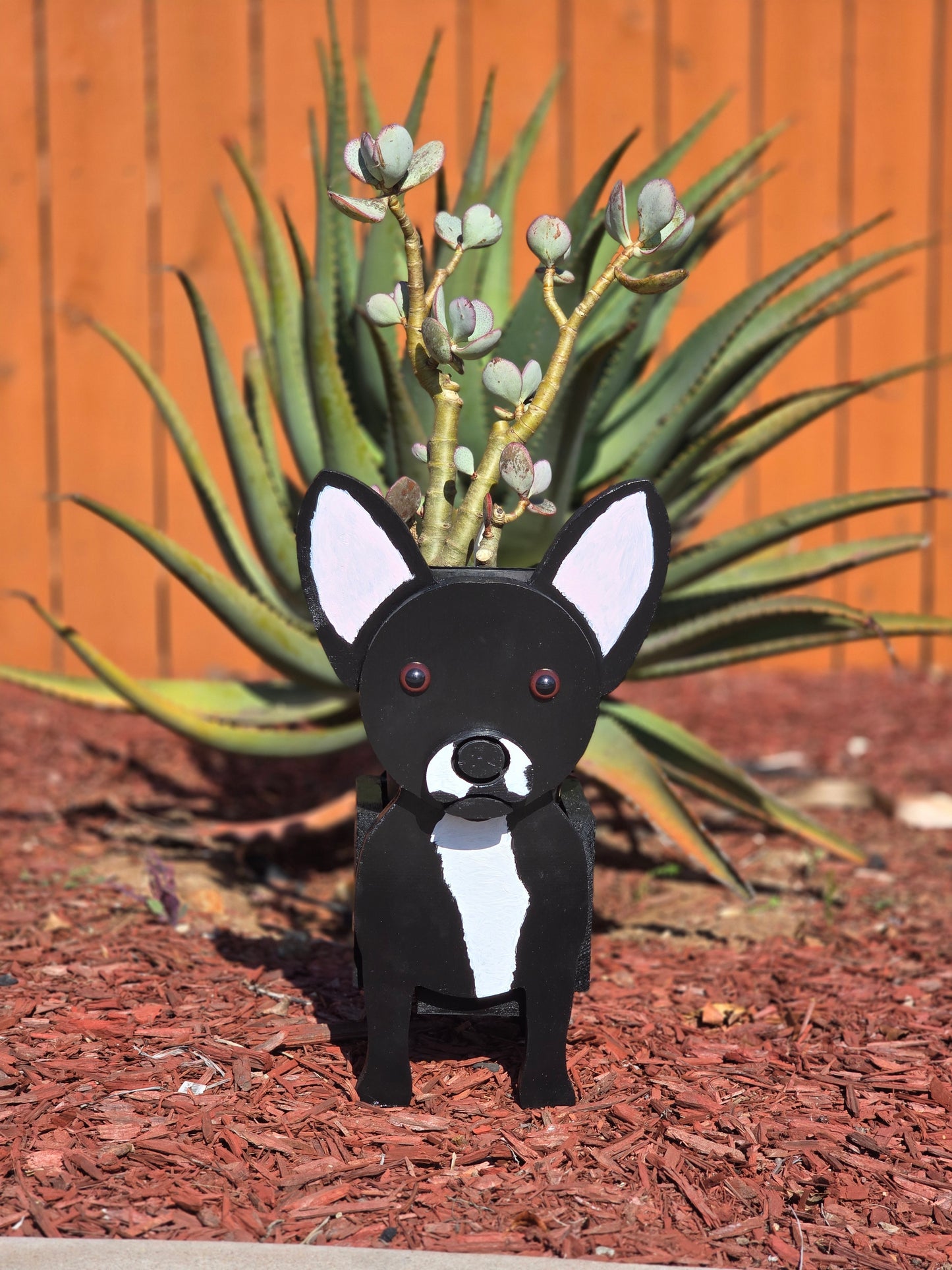 Chihuahua Planter Box