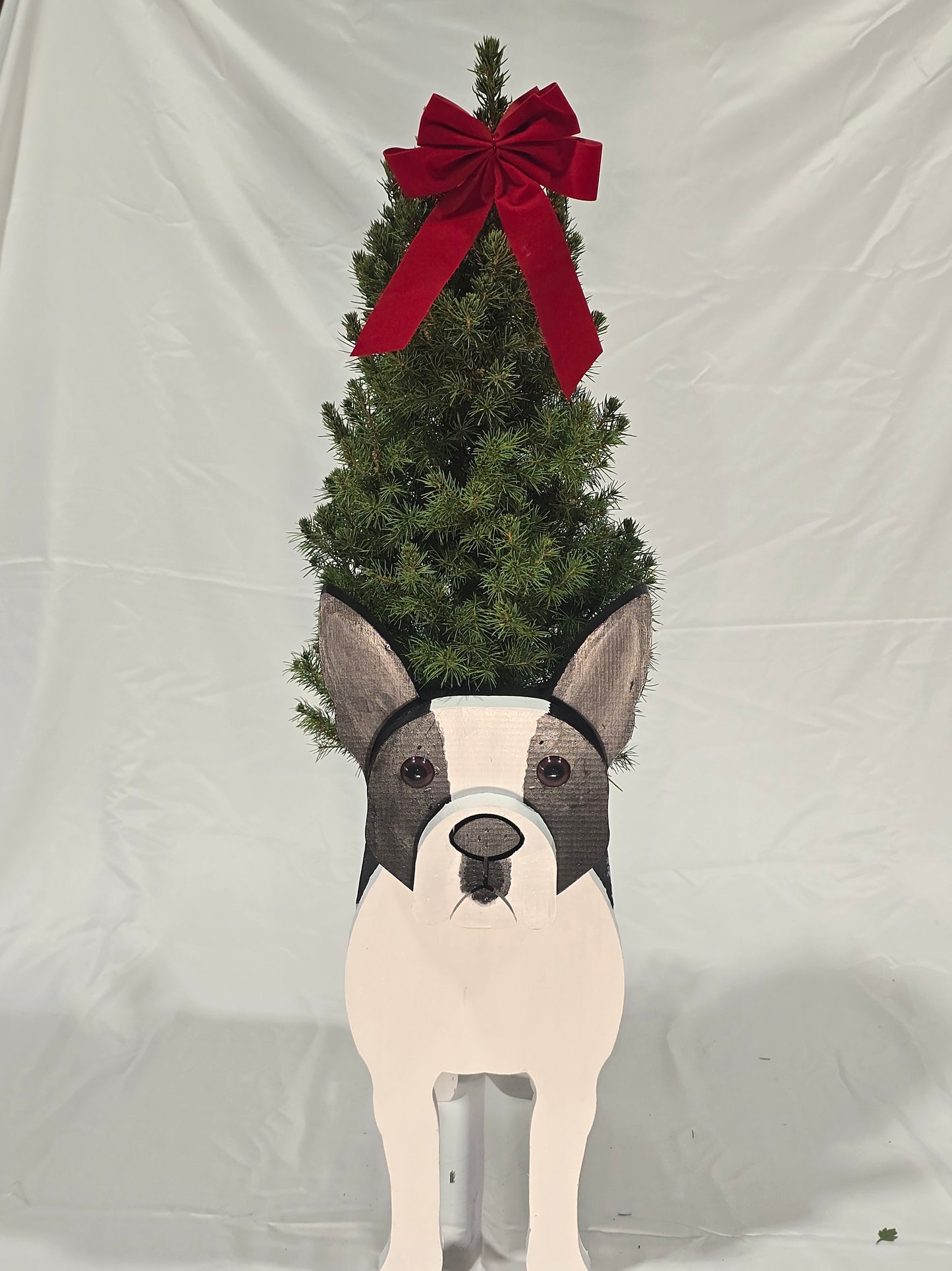 Boston Terrier Planter Box