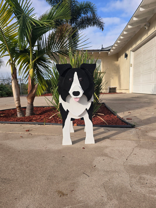 Border Collie Planter Box