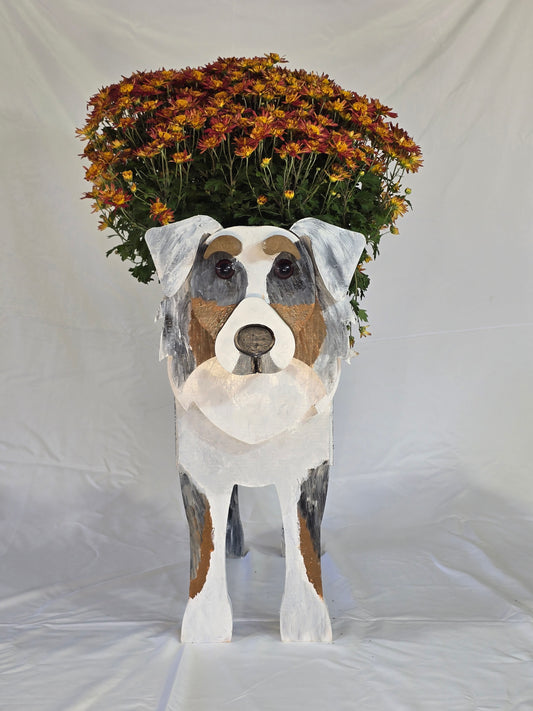Australian Shepherd Planter Box