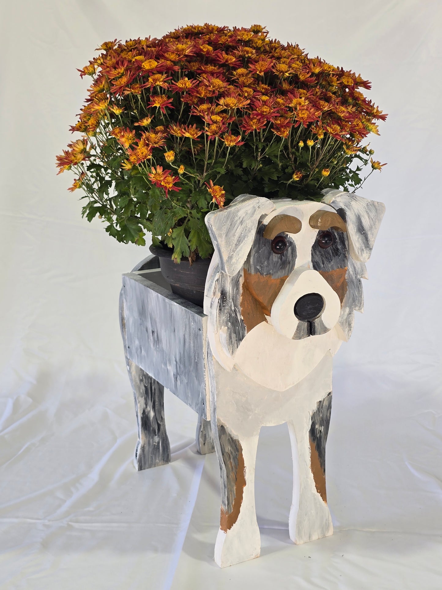 Australian Shepherd Planter Box