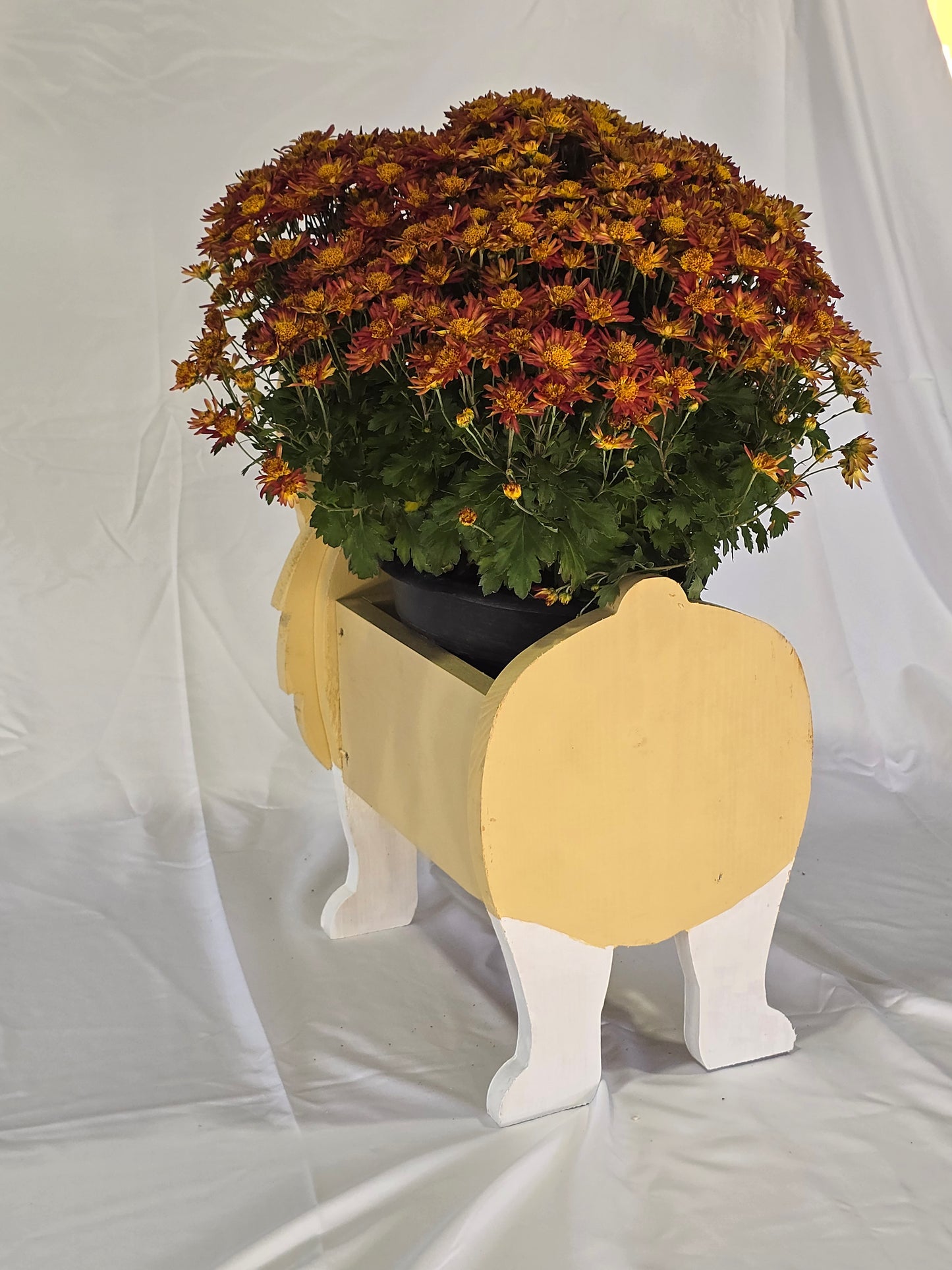 Corgi Planter Box