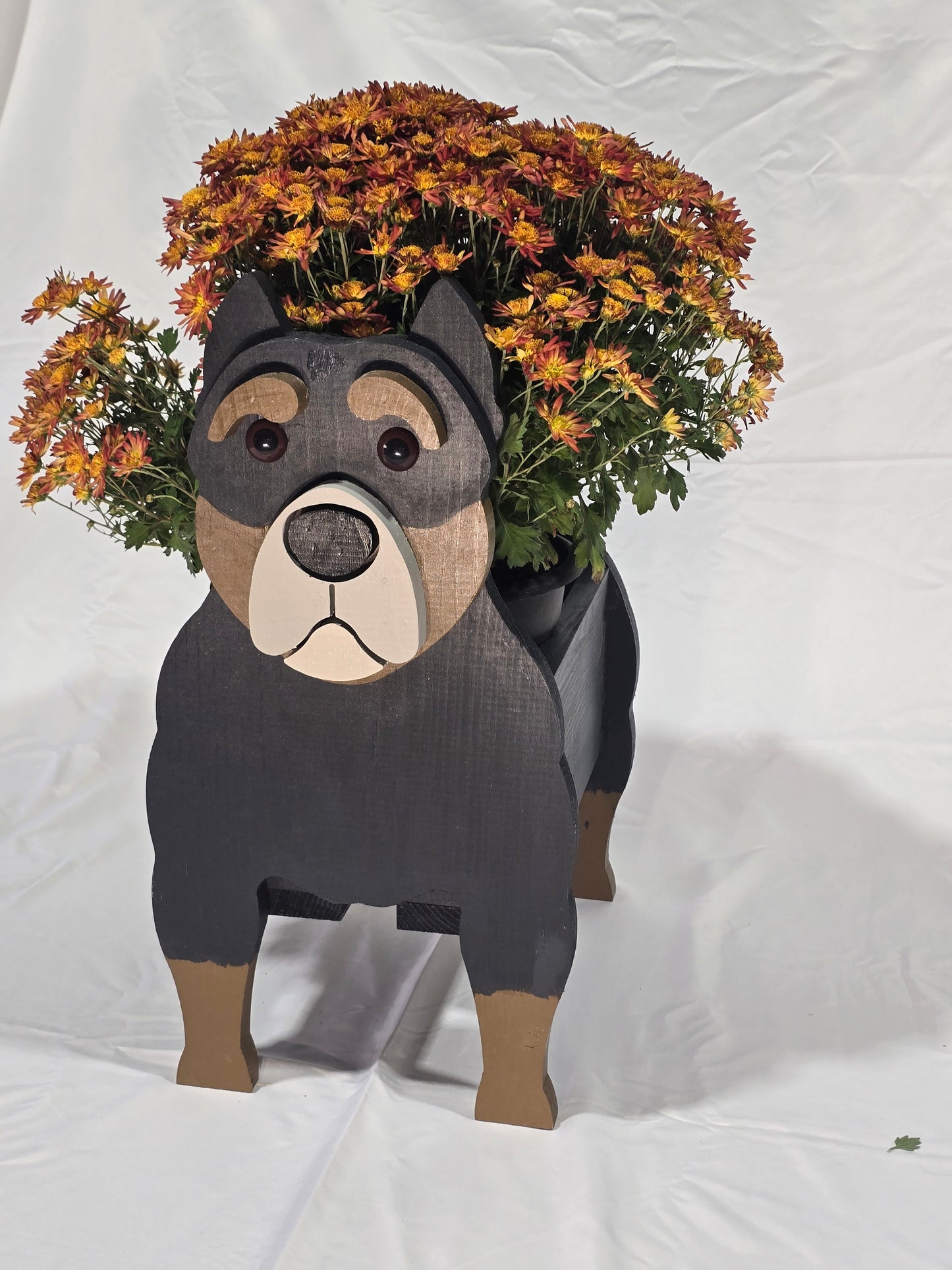 Pitbull Planter Box