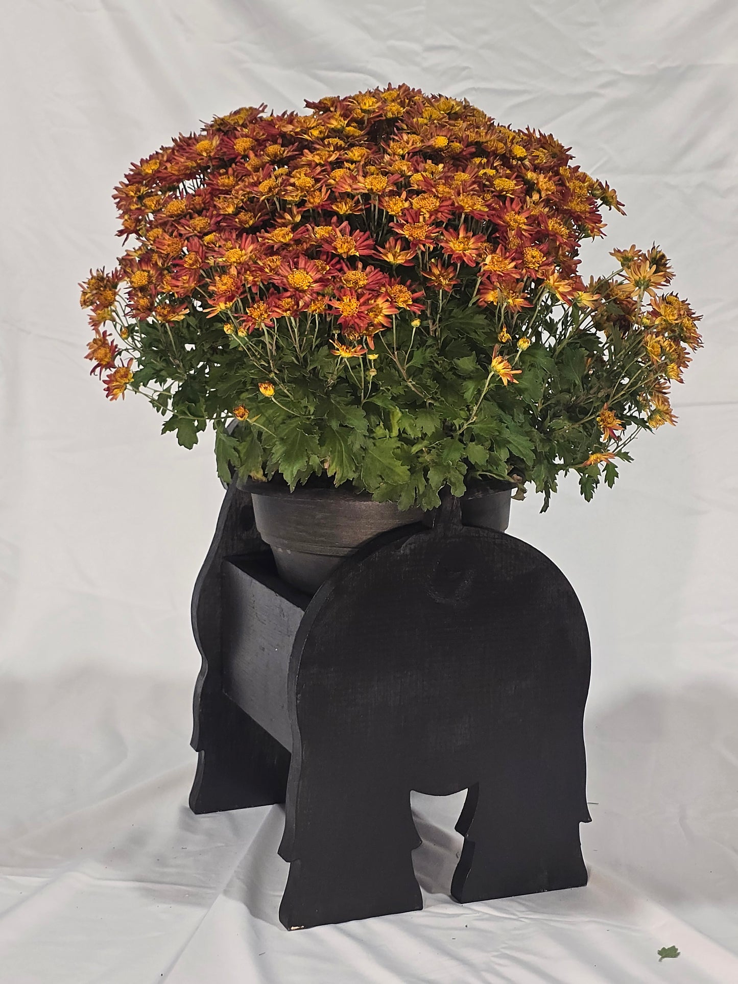 Scottish Terrier Planter Box